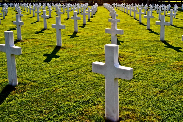 A Guide to the Leading Cemetery Management Software of 2025